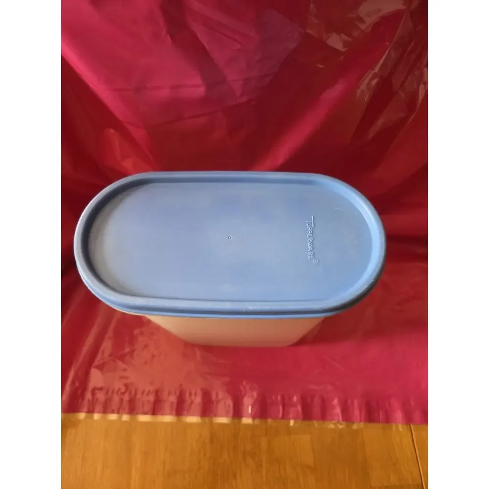 Tupperware Modular Mate #4 Container #1614 9 3/4 Cups Or 2.3 Litres